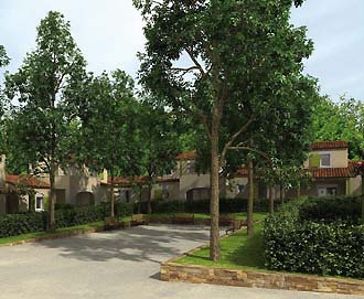 Le Mas Des Alpilles